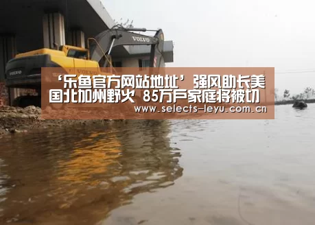 乐鱼极致竞技体验