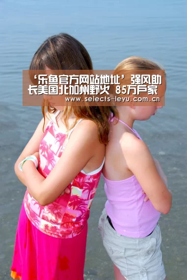 乐鱼平台最新版本