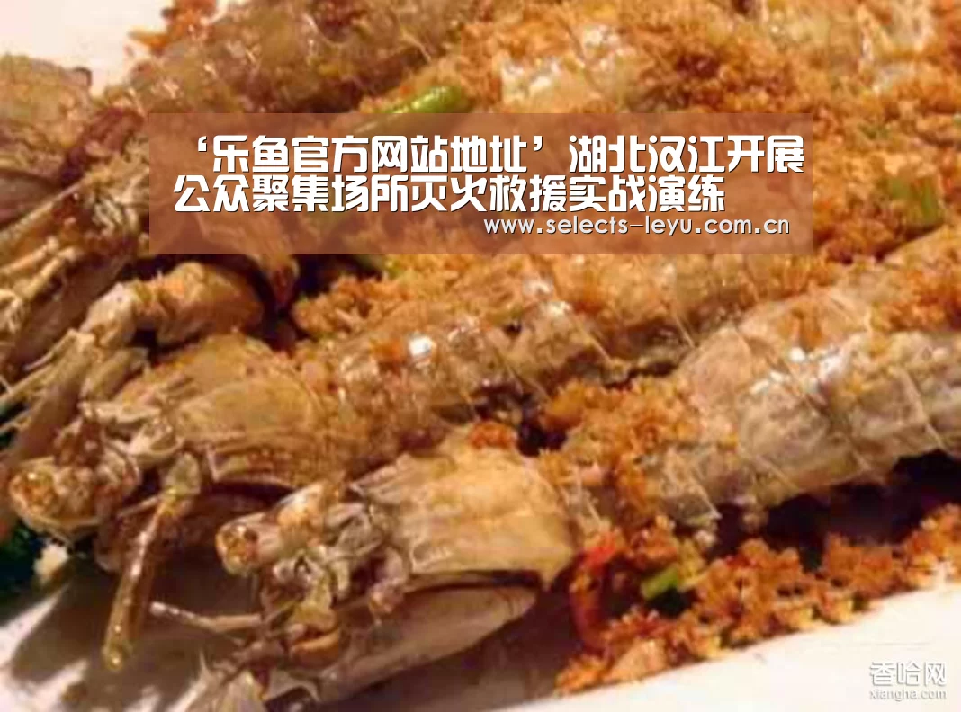 乐鱼体育App下载