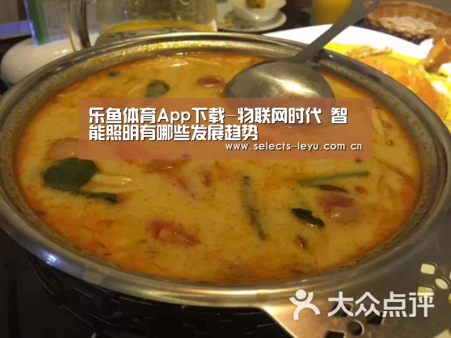 乐鱼体育App下载-物联网时代 智能照明有哪些发展趋势(图1) 乐鱼平台最新版本