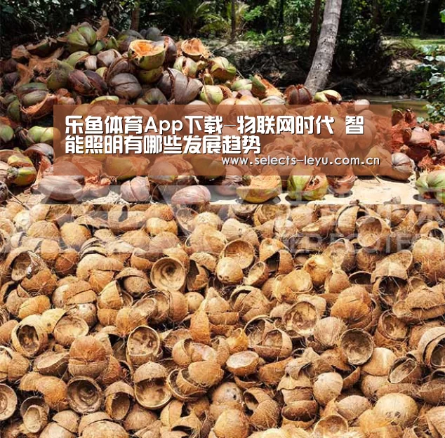 乐鱼体育App下载-物联网时代 智能照明有哪些发展趋势(图2) 乐鱼极致竞技体验