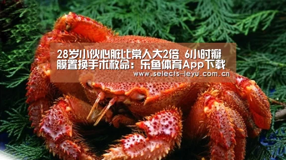 28岁小伙心脏比常人大2倍 6小时瓣膜置换手术救命:乐鱼体育App下载(图4) 乐鱼平台最新版本