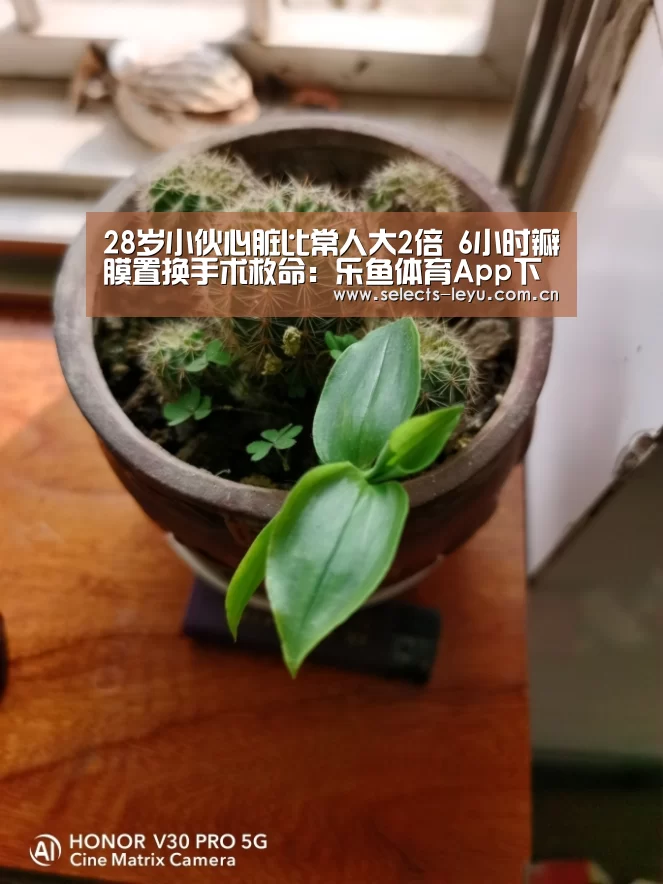 28岁小伙心脏比常人大2倍 6小时瓣膜置换手术救命:乐鱼体育App下载(图2) 乐鱼官方网站地址