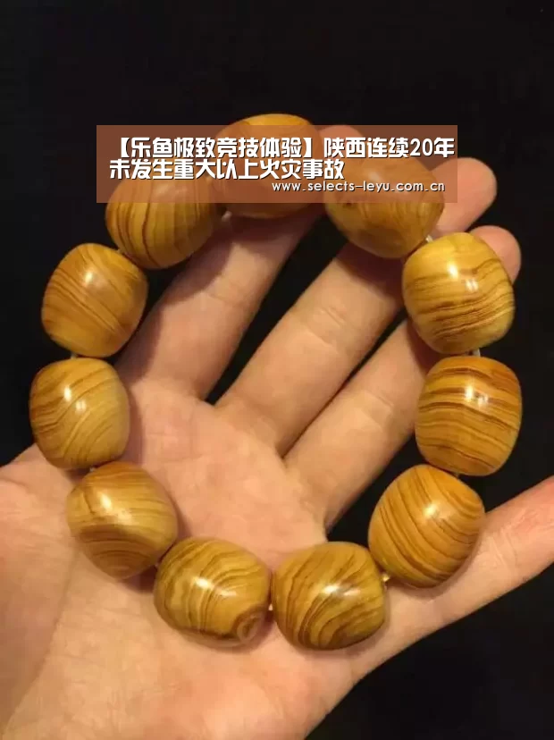 【乐鱼极致竞技体验】陕西连续20年未发生重大以上火灾事故(图2) 乐鱼官方网站地址