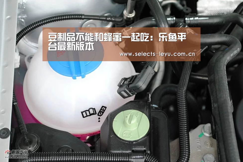 乐鱼官方网站地址