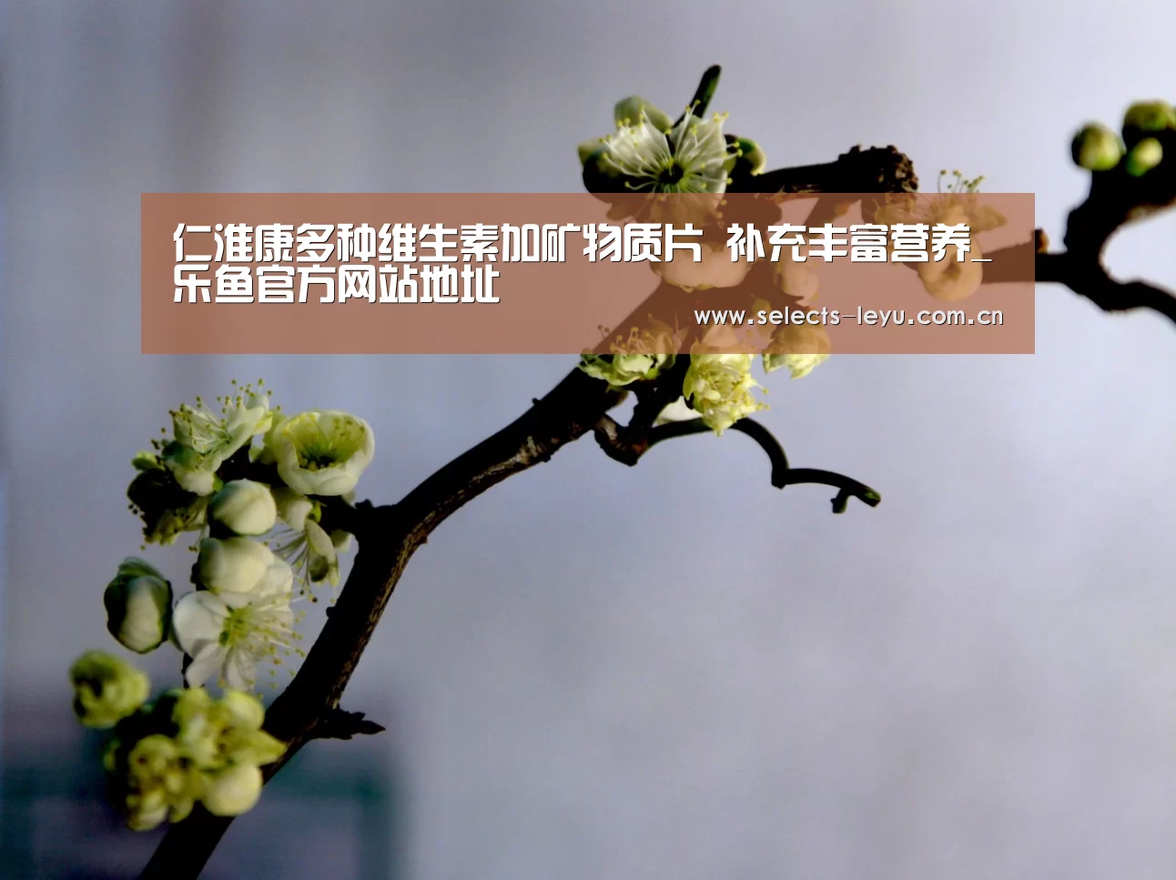 仁淮康多种维生素加矿物质片 补充丰富营养_乐鱼官方网站地址(图1) 乐鱼官方网站地址