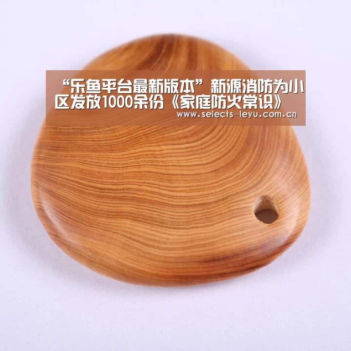 “乐鱼平台最新版本”新源消防为小区发放1000余份《家庭防火常识》(图1) 乐鱼官方网站地址