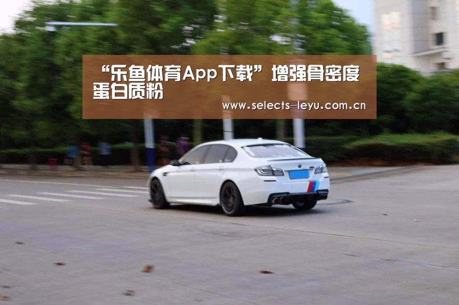 乐鱼体育App下载