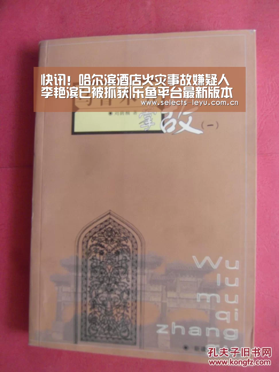 快讯!哈尔滨酒店火灾事故嫌疑人李艳滨已被抓获|乐鱼平台最新版本(图2) 乐鱼极致竞技体验