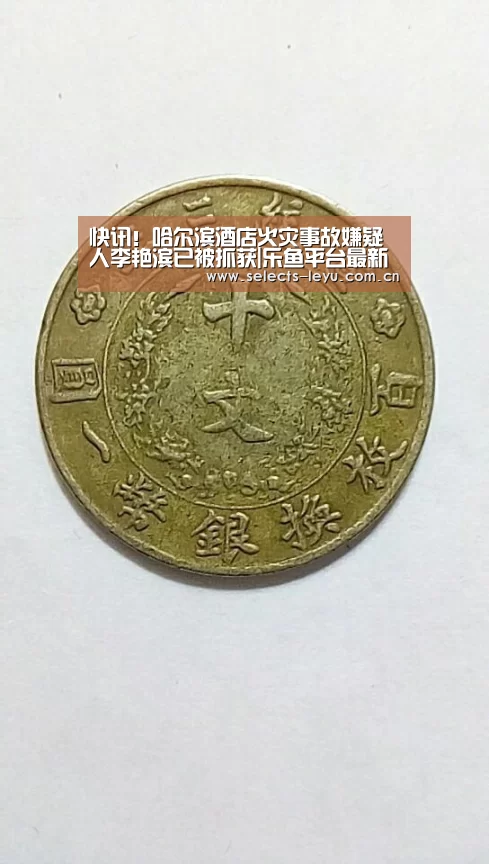 快讯!哈尔滨酒店火灾事故嫌疑人李艳滨已被抓获|乐鱼平台最新版本(图1) 乐鱼官方网站地址
