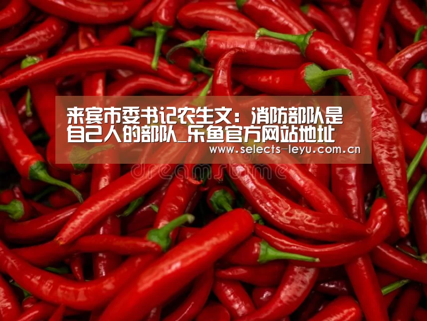 来宾市委书记农生文:消防部队是自己人的部队_乐鱼官方网站地址(图4) 乐鱼平台最新版本