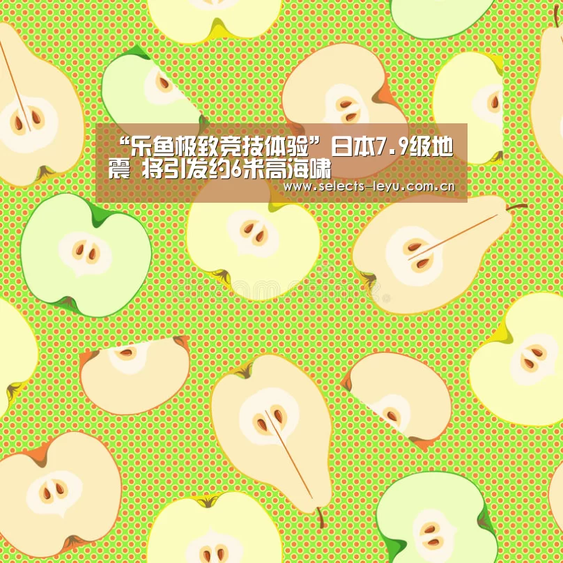 “乐鱼极致竞技体验”日本7.9级地震 将引发约6米高海啸(图4) 乐鱼体育App下载