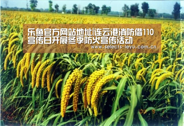 乐鱼官方网站地址|连云港消防借110宣传日开展冬季防火宣传活动(图3) 乐鱼官方网站地址