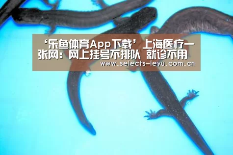 ‘乐鱼体育App下载’上海医疗一张网:网上挂号不排队 就诊不用带病历(图1) 乐鱼体育App下载