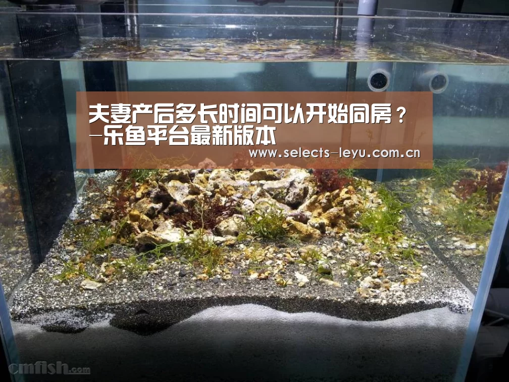 夫妻产后多长时间可以开始同房?-乐鱼平台最新版本(图3) 乐鱼官方网站地址