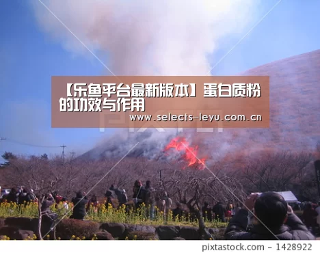 【乐鱼平台最新版本】蛋白质粉的功效与作用(图1) 乐鱼官方网站地址