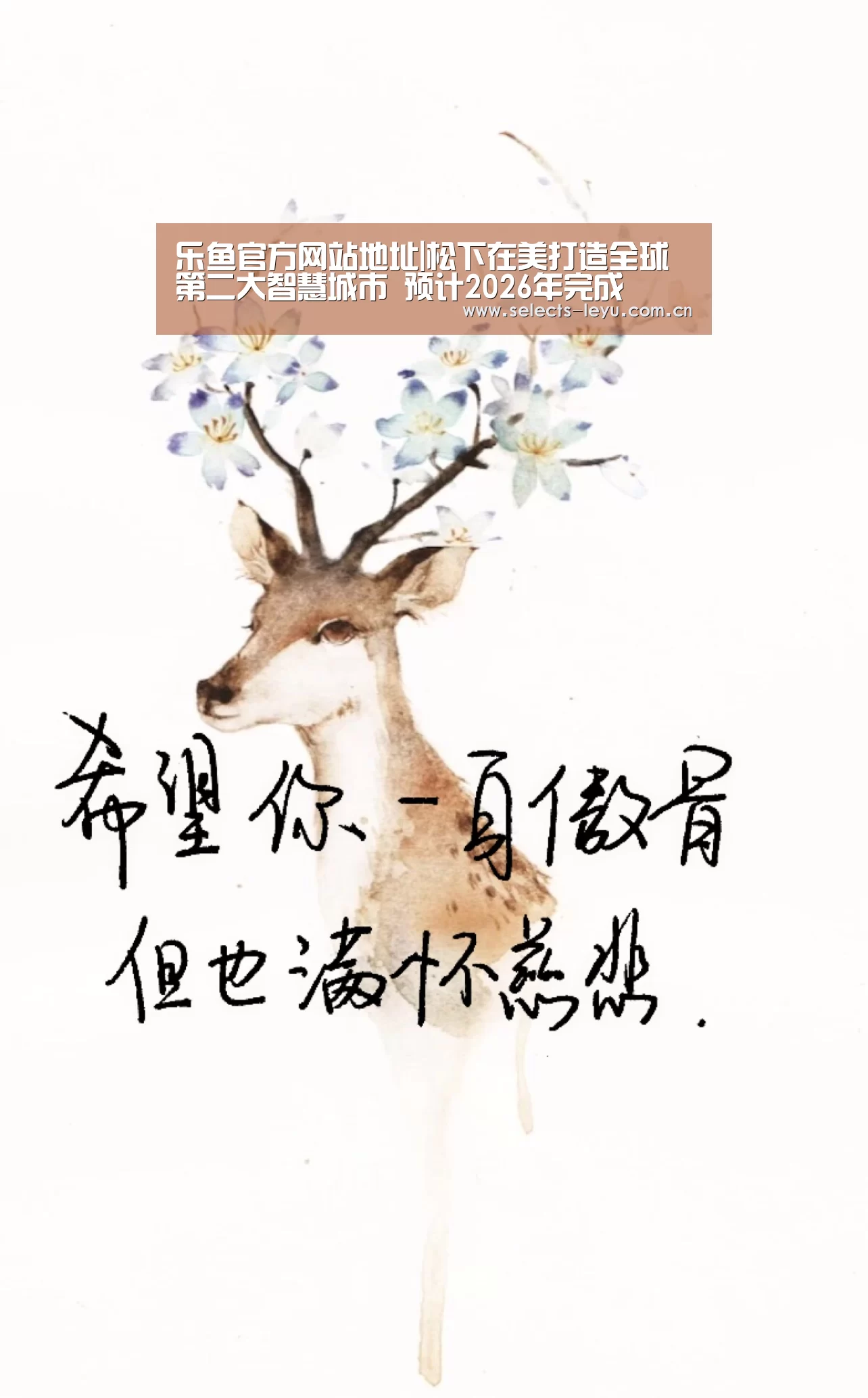 乐鱼平台最新版本