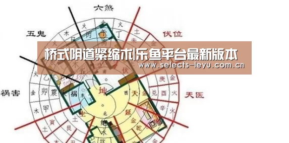 桥式阴道紧缩术|乐鱼平台最新版本(图1) 乐鱼体育App下载