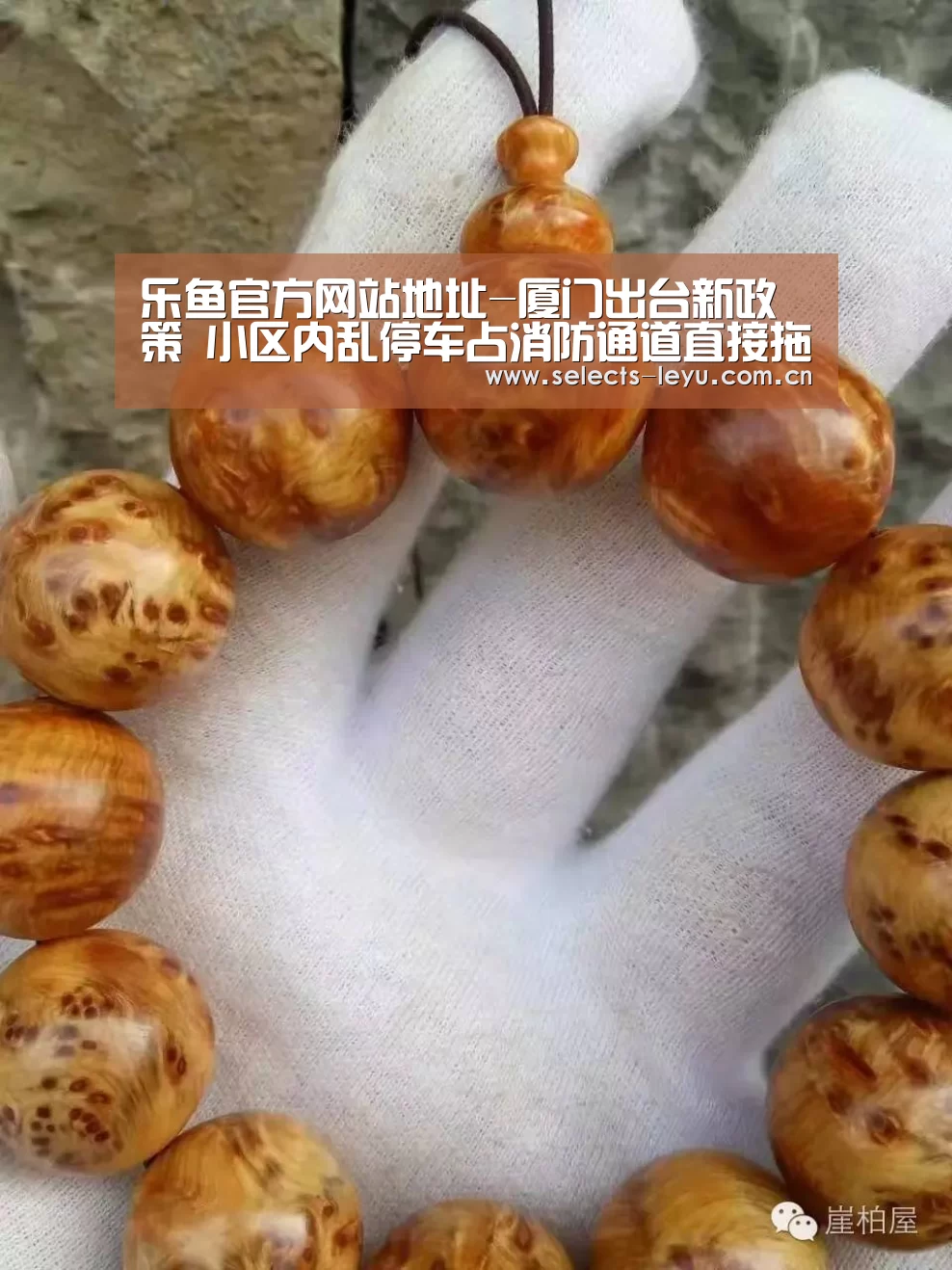 乐鱼极致竞技体验